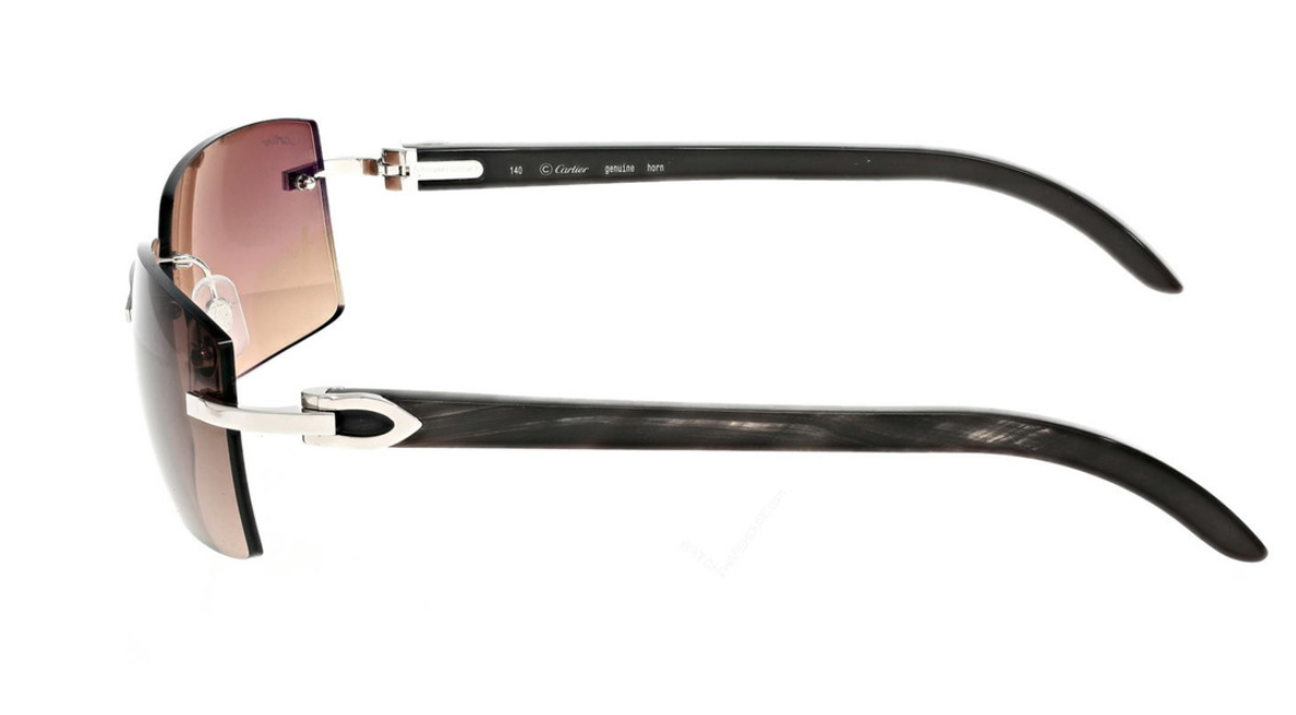 Cartier CT0024RS sunglasses Color 001 Black Horn Silver/Brown lenses